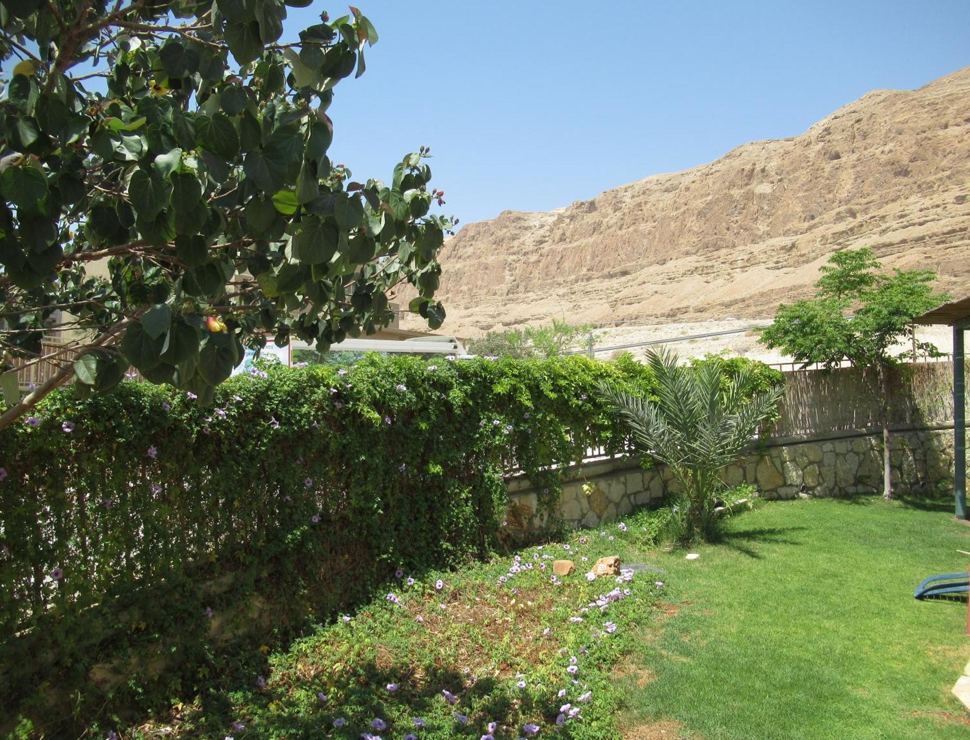 Unique&Warmy Place In The Dead Sea Avnat Eksteriør billede